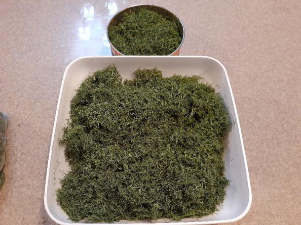 قیمت سبزی خشک شوید ممتاز