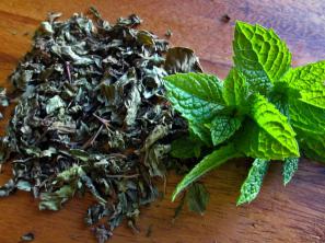 صادرات انواع سبزی نعناع خشک