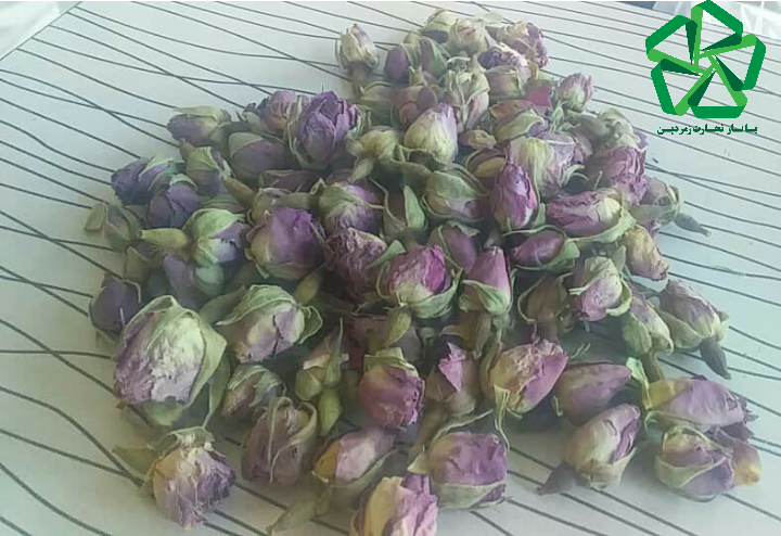 خرید اینترنتی غنچه گل محمدی