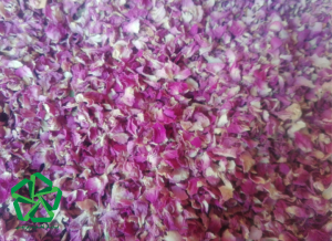 قیمت هر کیلو گل محمدی خشک شده