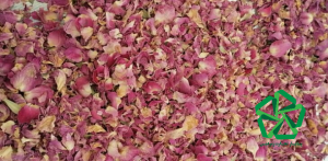 تأمین و توزیع پر گل محمدی صادراتی