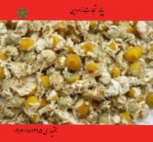 فروش گل بابونه خشک