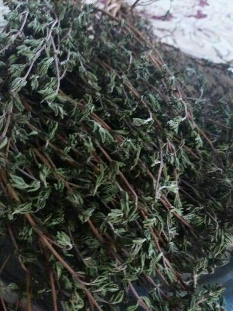 آویشن خوراکی