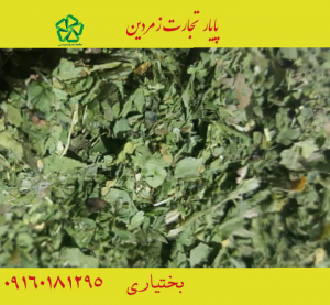 کاربردی ترین سبزیجات خشک