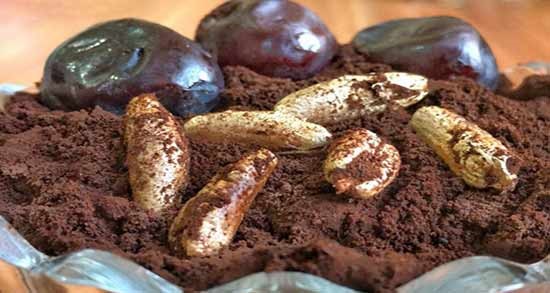 فروشنده قهوه هسته خرما