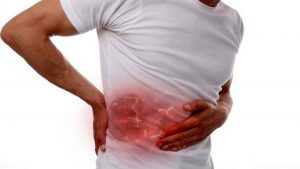 سلامت کلیه ها