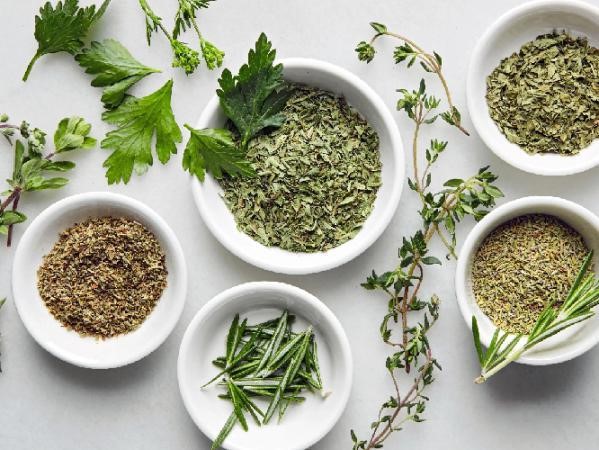 اقلیم های گرم و خشک