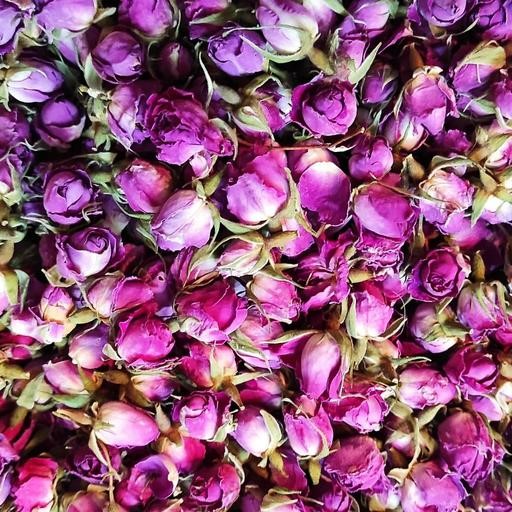 قیمت فروش عمده غنچه