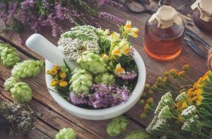 فروش گیاهان دارویی