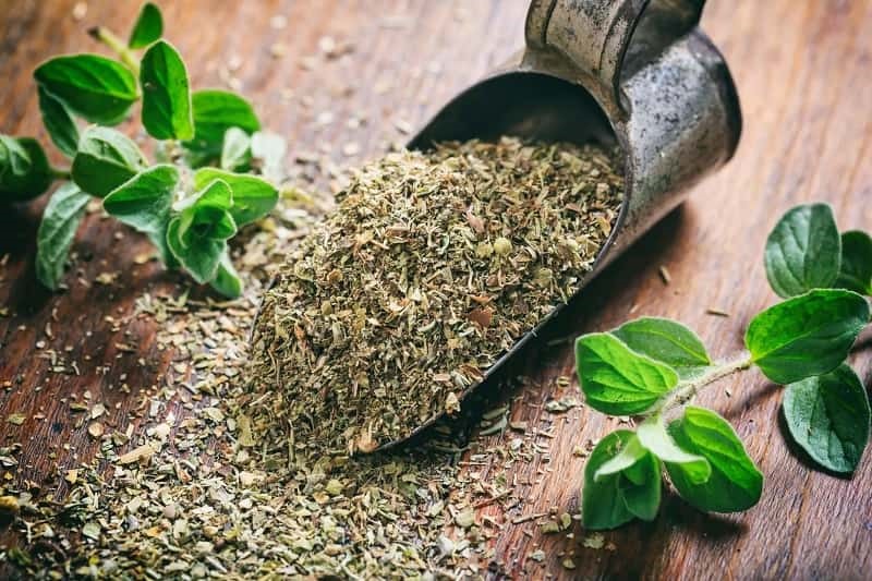 فروش عمده گیاهان دارویی