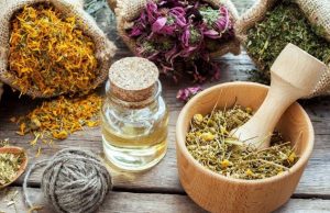 لیست قیمت گیاهان دارویی